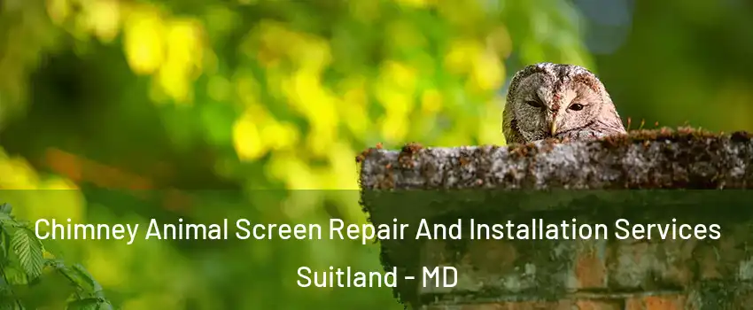  Chimney Animal Screen Repair And Installation Services Suitland - MD