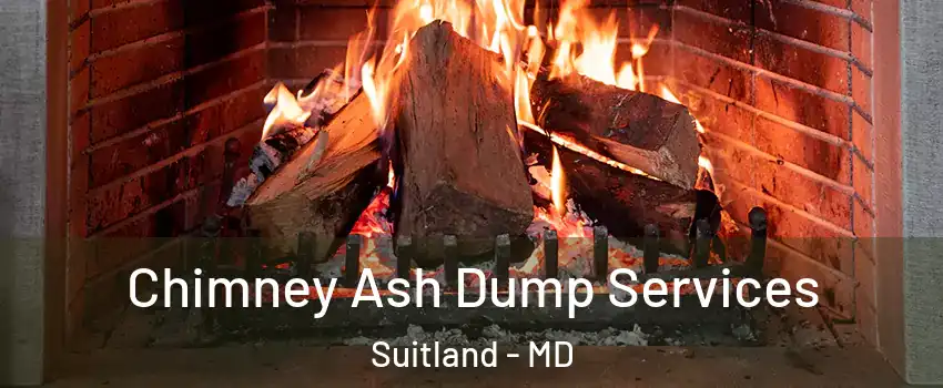  Chimney Ash Dump Services Suitland - MD
