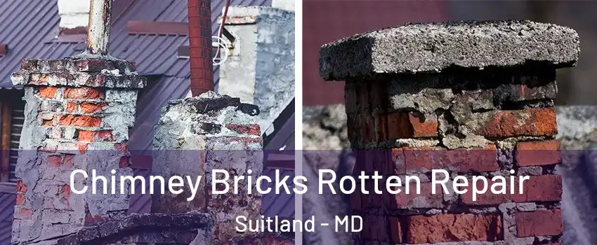  Chimney Bricks Rotten Repair Suitland - MD