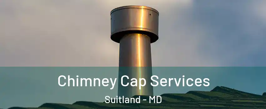  Chimney Cap Services Suitland - MD