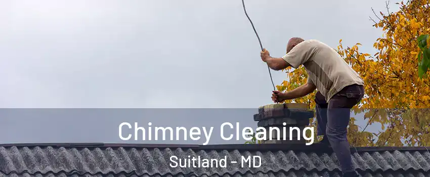  Chimney Cleaning Suitland - MD