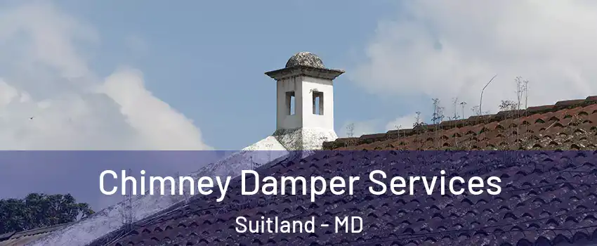  Chimney Damper Services Suitland - MD