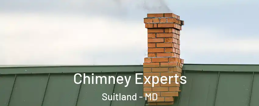 Chimney Experts Suitland - MD