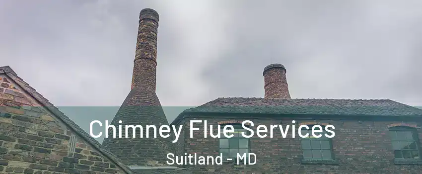  Chimney Flue Services Suitland - MD