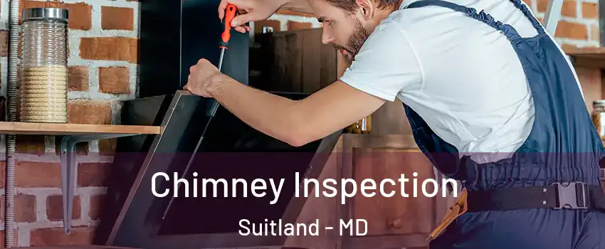  Chimney Inspection Suitland - MD