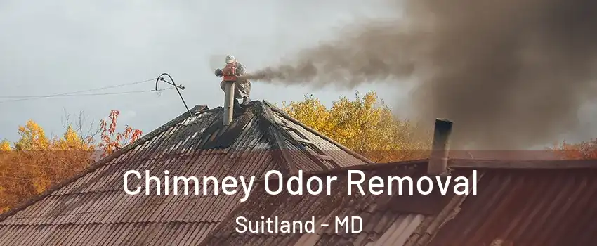  Chimney Odor Removal Suitland - MD