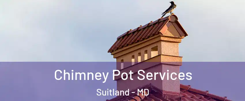  Chimney Pot Services Suitland - MD