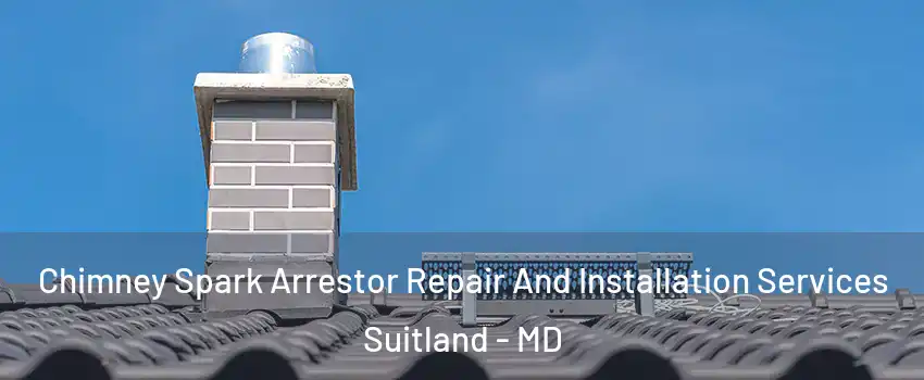  Chimney Spark Arrestor Repair And Installation Services Suitland - MD