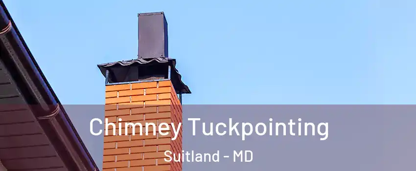  Chimney Tuckpointing Suitland - MD