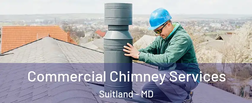  Commercial Chimney Services Suitland - MD