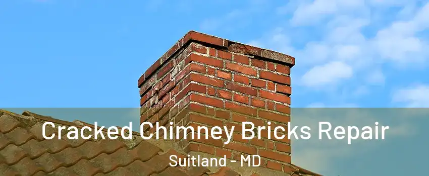 Cracked Chimney Bricks Repair Suitland - MD