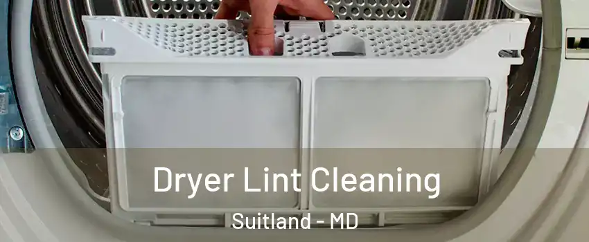  Dryer Lint Cleaning Suitland - MD
