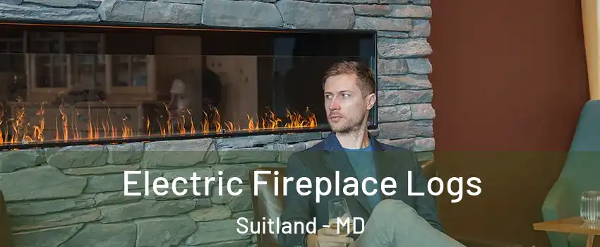  Electric Fireplace Logs Suitland - MD
