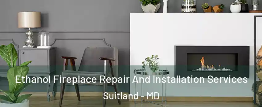  Ethanol Fireplace Repair And Installation Services Suitland - MD