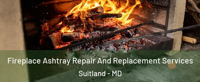  Fireplace Ashtray Repair And Replacement Services Suitland - MD