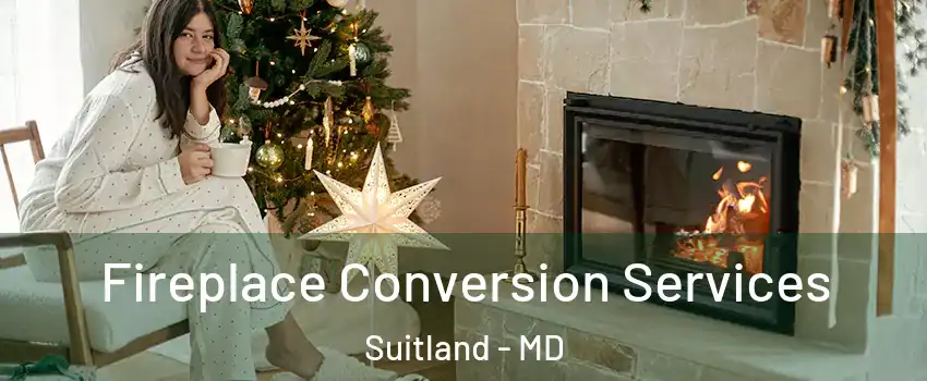  Fireplace Conversion Services Suitland - MD