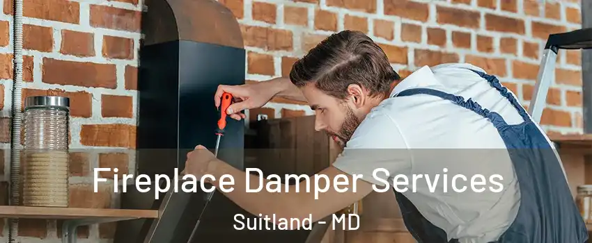  Fireplace Damper Services Suitland - MD