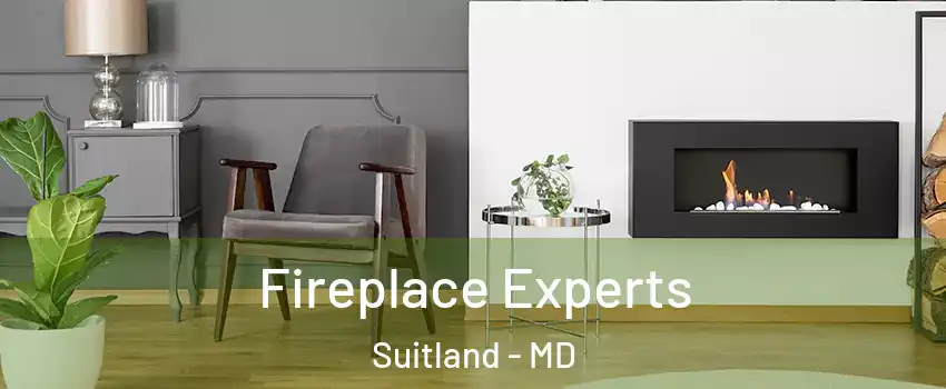  Fireplace Experts Suitland - MD