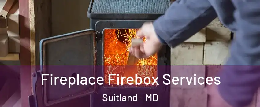  Fireplace Firebox Services Suitland - MD
