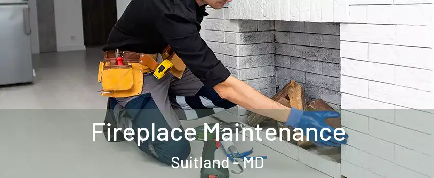  Fireplace Maintenance Suitland - MD