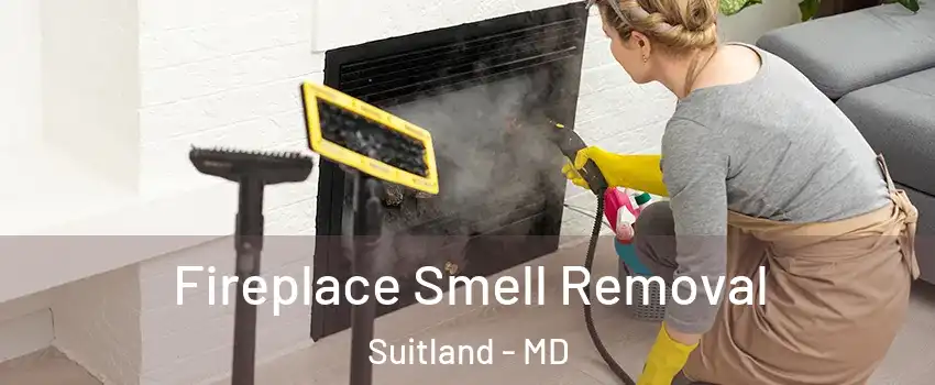  Fireplace Smell Removal Suitland - MD