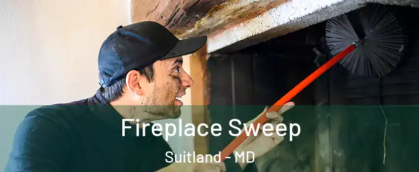  Fireplace Sweep Suitland - MD