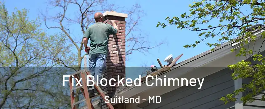  Fix Blocked Chimney Suitland - MD
