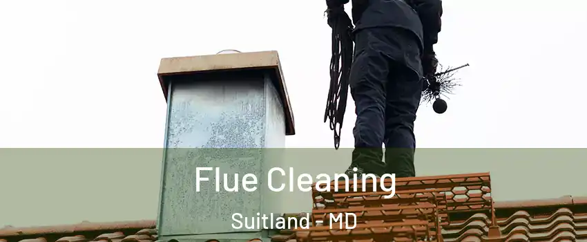  Flue Cleaning Suitland - MD
