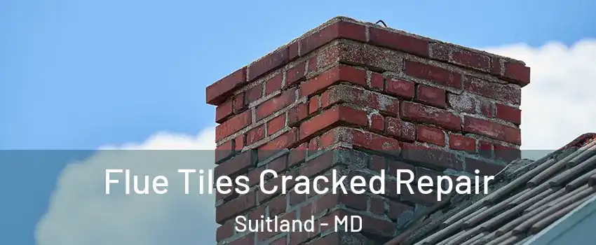  Flue Tiles Cracked Repair Suitland - MD