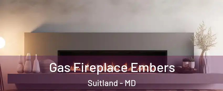  Gas Fireplace Embers Suitland - MD