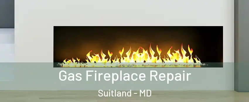  Gas Fireplace Repair Suitland - MD