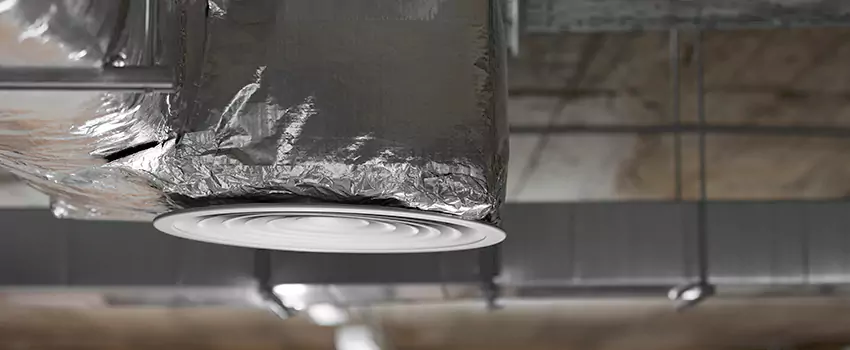 Signs of Dust Accumulation in Vents in Suitland, MD