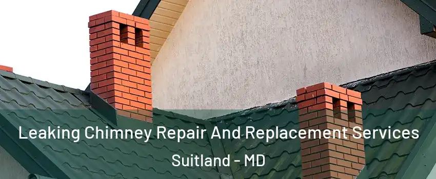  Leaking Chimney Repair And Replacement Services Suitland - MD