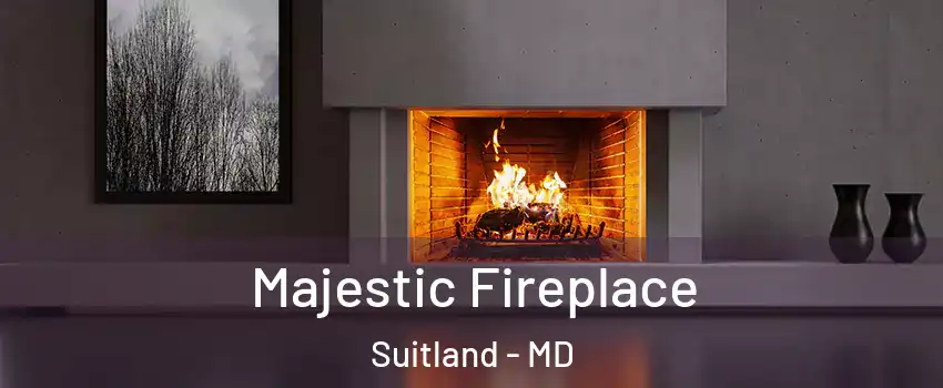  Majestic Fireplace Suitland - MD
