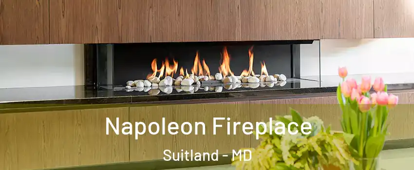  Napoleon Fireplace Suitland - MD