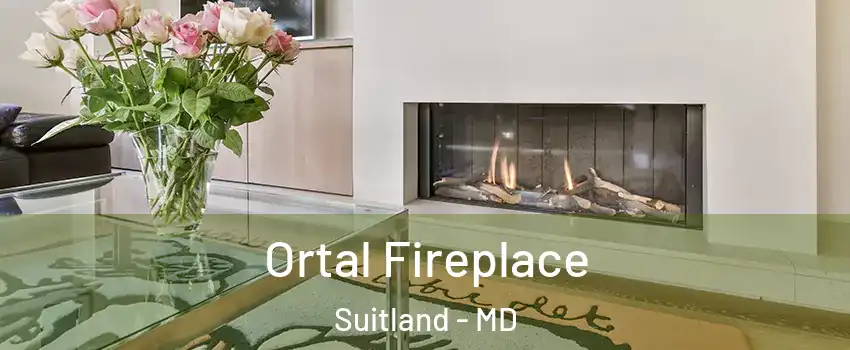 Ortal Fireplace Suitland - MD