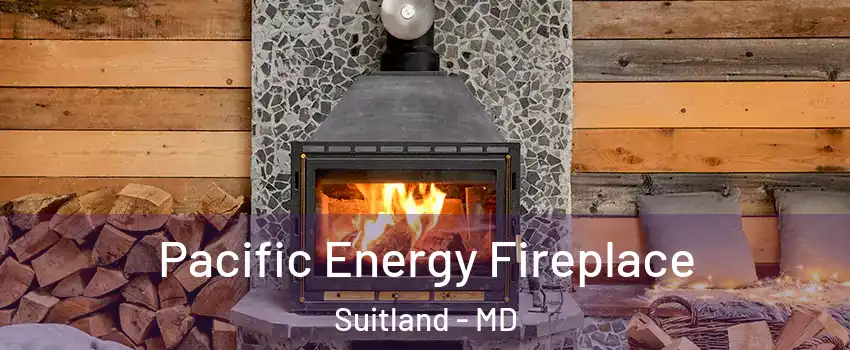  Pacific Energy Fireplace Suitland - MD